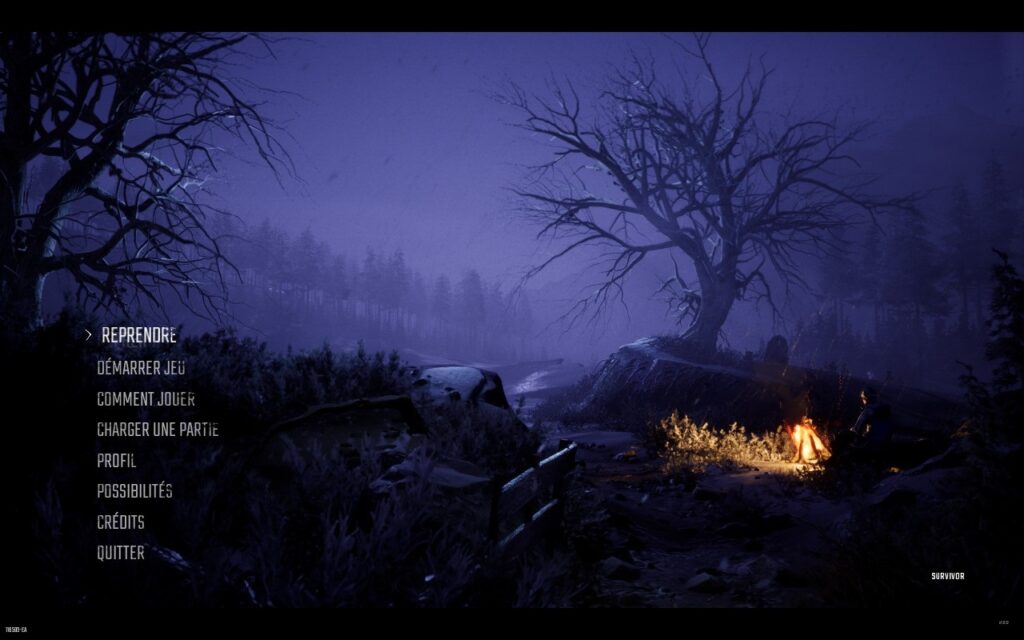 Winter Survival – Un jeu à éviter pour débuter
