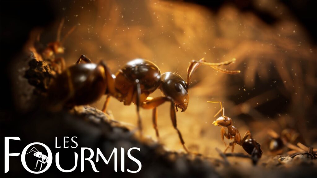 Gamescom 2024 – Les Fourmis